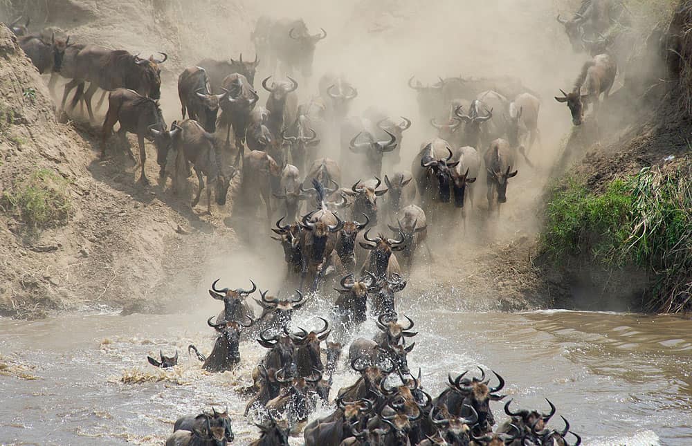 9 Days Great Migration Tanzania Safari