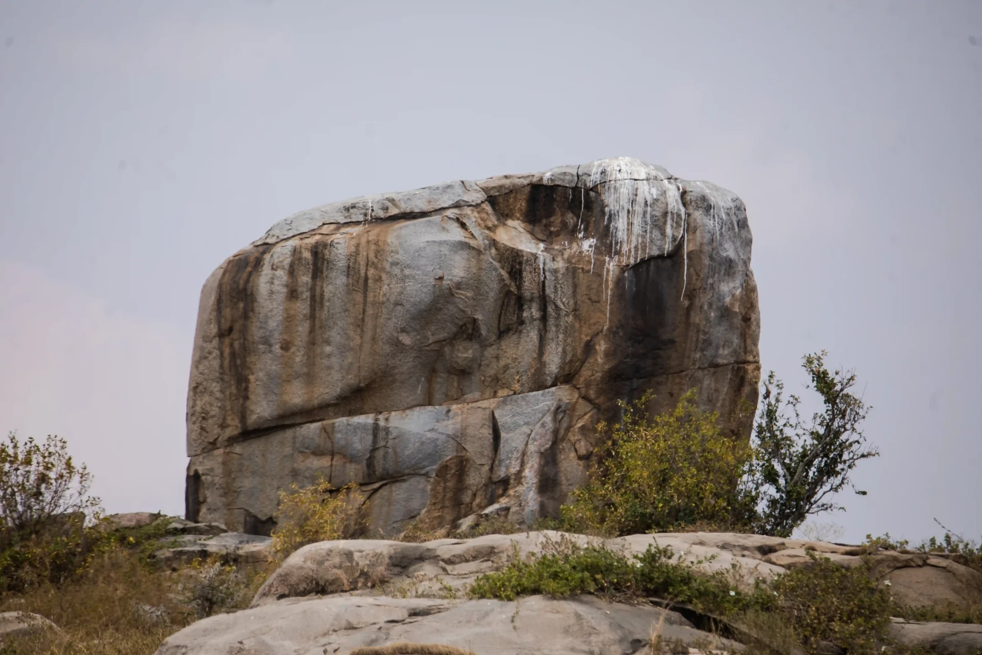 Iconic Serengeti kopje rock formation